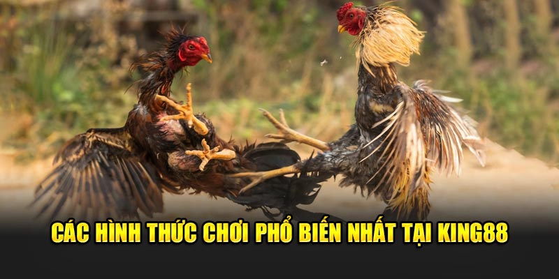 Các hình thức chơi phổ biến nhất tại King88