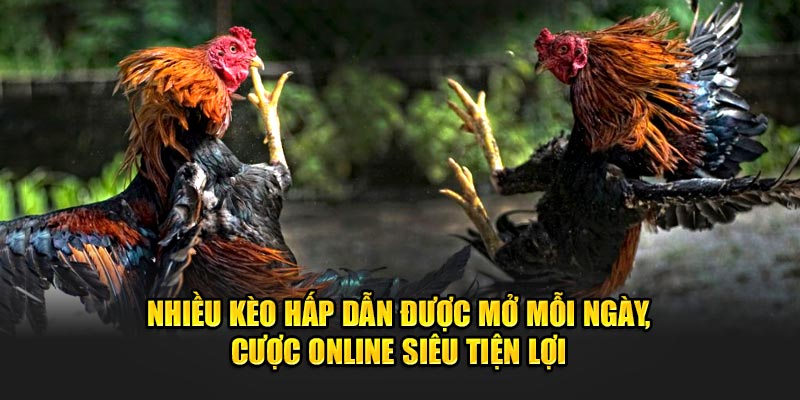 Nhiều kèo hấp dẫn được mở mỗi ngày, cược online siêu tiện lợi