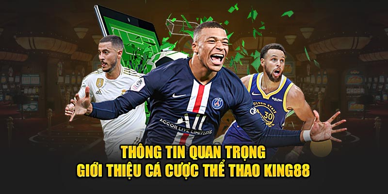 Thông tin quan trọng giới thiệu cá cược thể thao King88