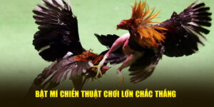 Bật mí chiến thuật chơi lớn chắc thắng