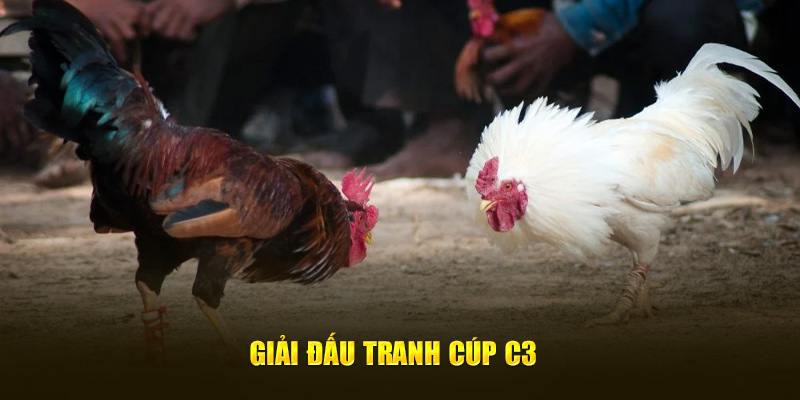 Giải đấu tranh cúp C3