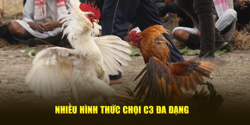 Nhiều hình thức chọi C3 đa dạng