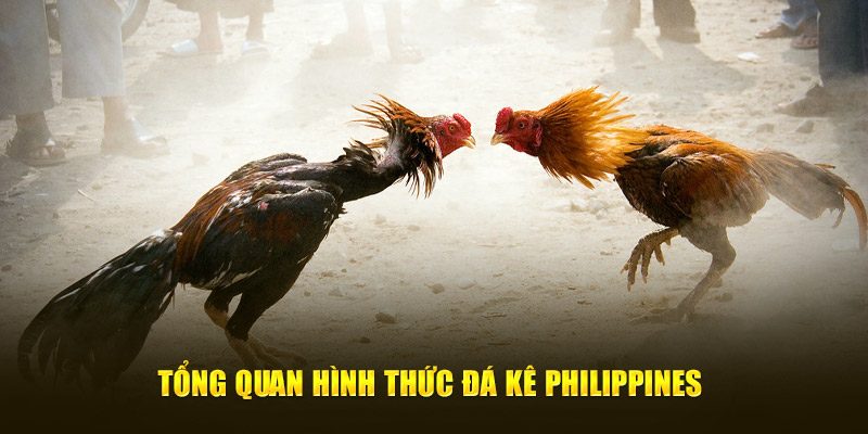 Tổng quan hình thức đá kê Philippines