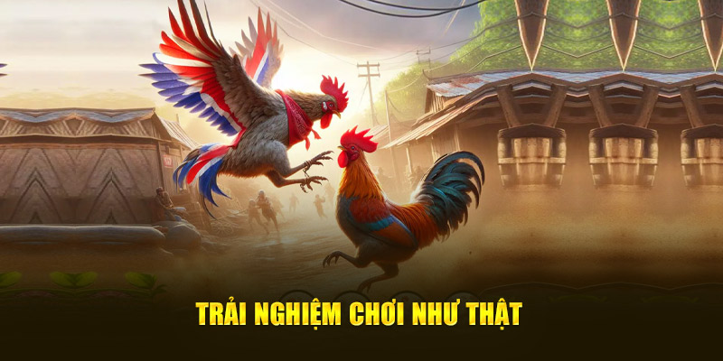 Trải nghiệm chơi như thật